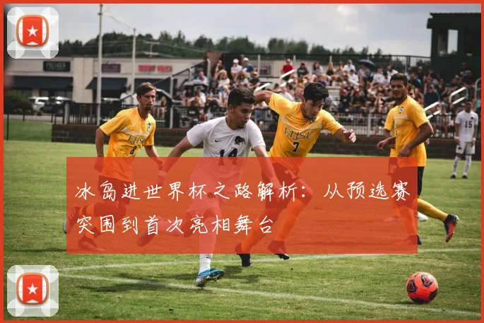 冰岛进世界杯之路解析：从预选赛突围到首次亮相舞台