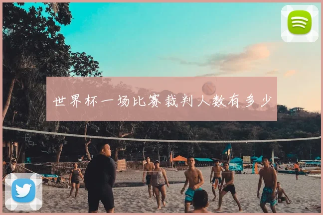 世界杯一场比赛裁判人数有多少